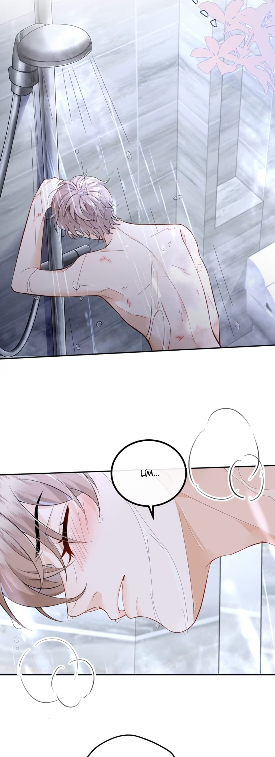 Dáng Vẻ Mà Cậu Thích Tôi Đều Có Chap 2 - Trang 3