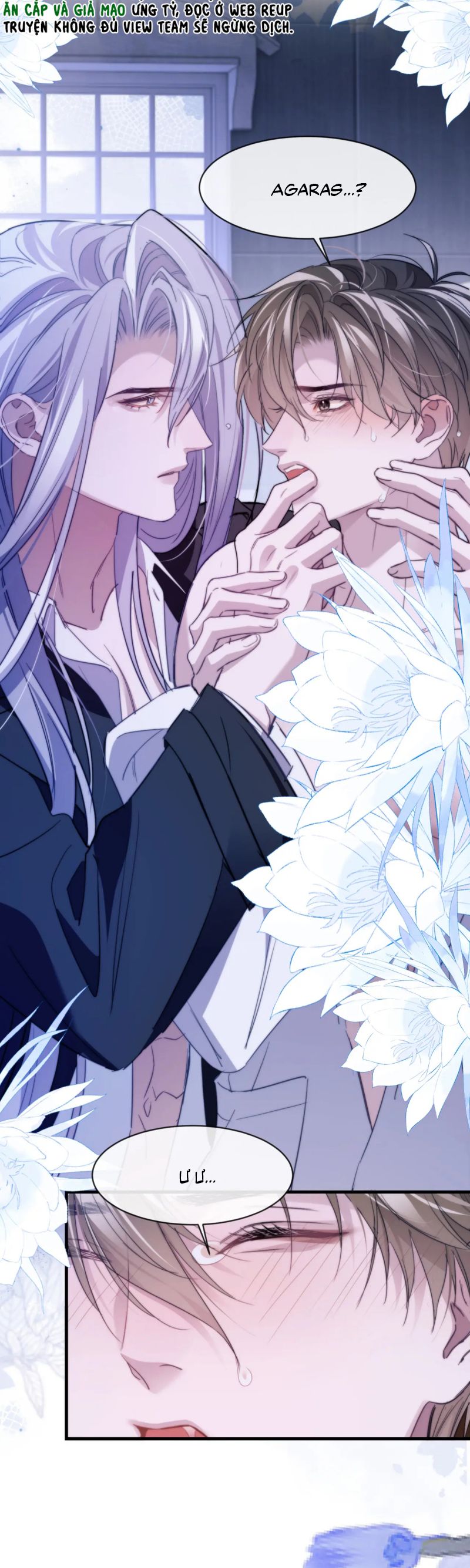 Desharow Nhân Ngư Chap 94 - Trang 4