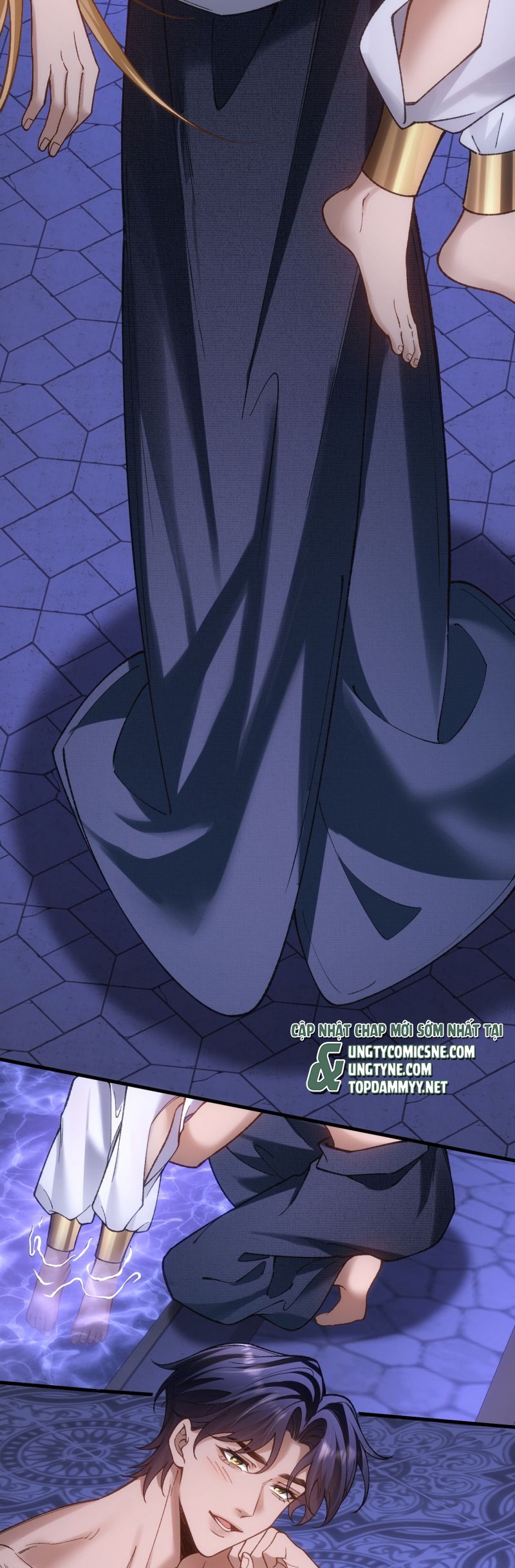 Thánh Tử Điện Hạ Lại Bị Tùy Ý Đánh Dấu Chap 17 - Trang 2