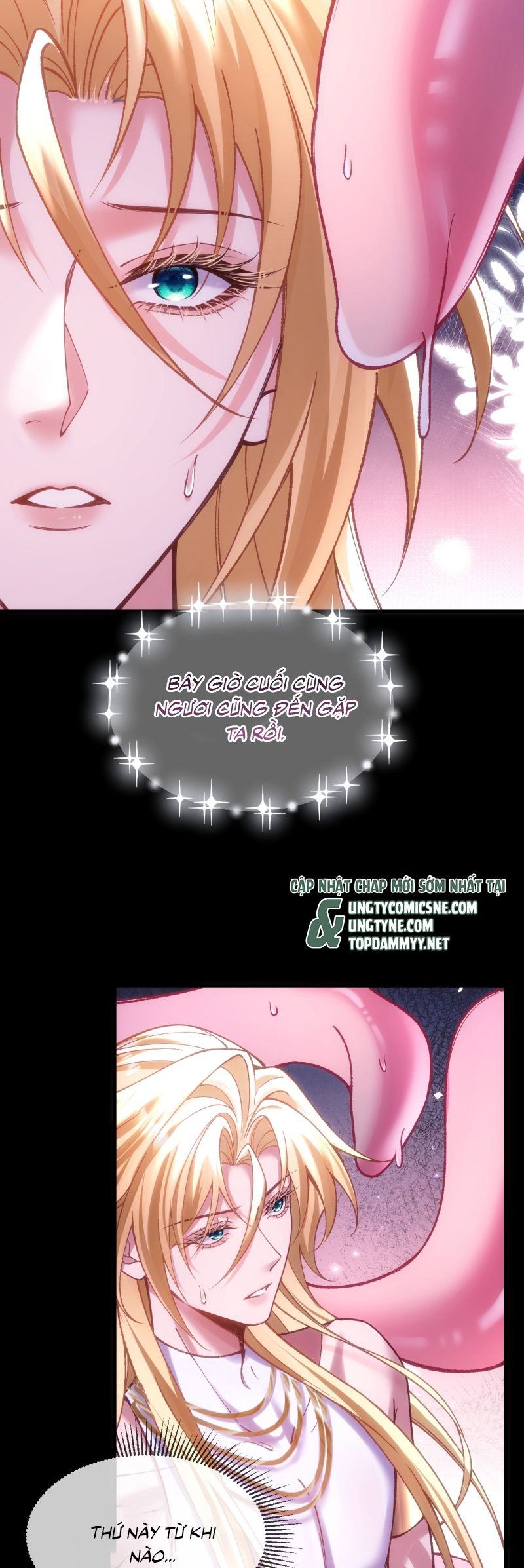 Thánh Tử Điện Hạ Lại Bị Tùy Ý Đánh Dấu Chap 17 - Trang 2