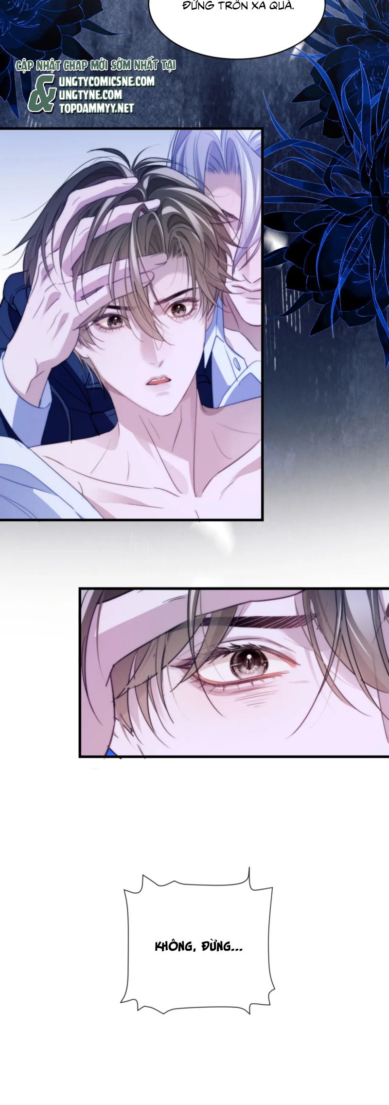 Desharow Nhân Ngư Chap 95 - Trang 4