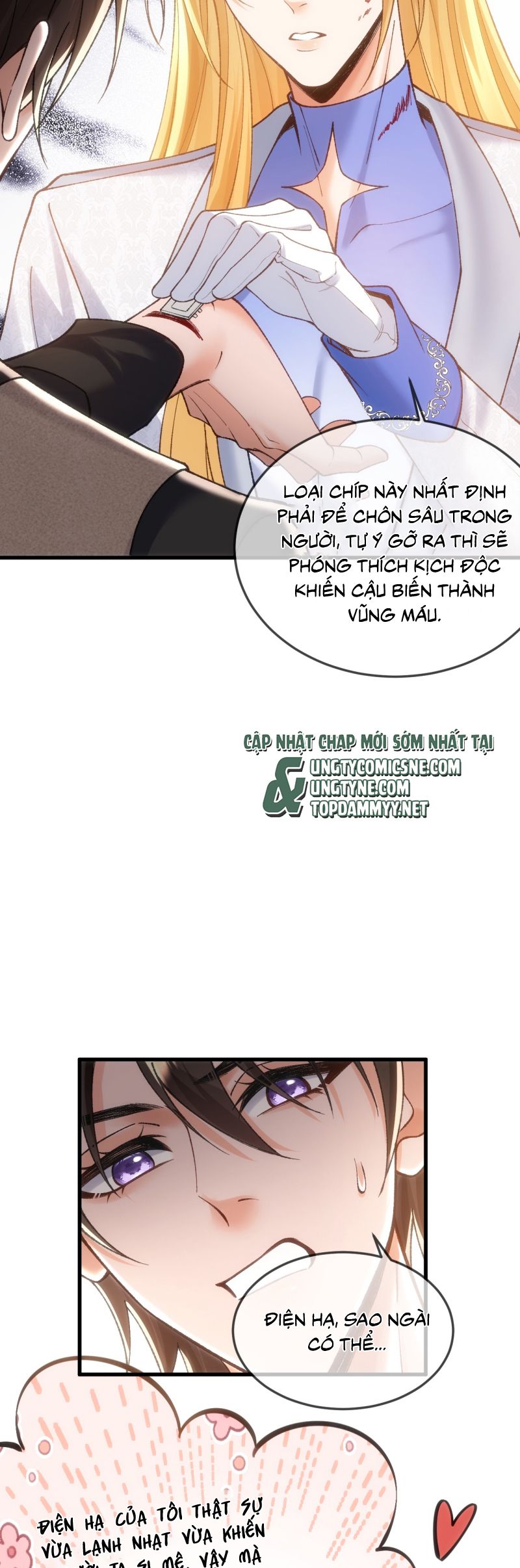 Thánh Tử Điện Hạ Lại Bị Tùy Ý Đánh Dấu Chap 18 - Trang 2