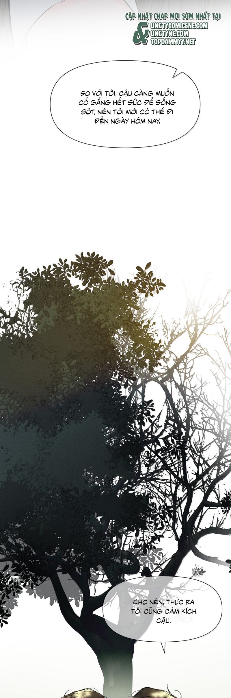 Ảnh Đế Cứ Muốn Làm Kim Chủ Của Tôi Chap 71 - Trang 4