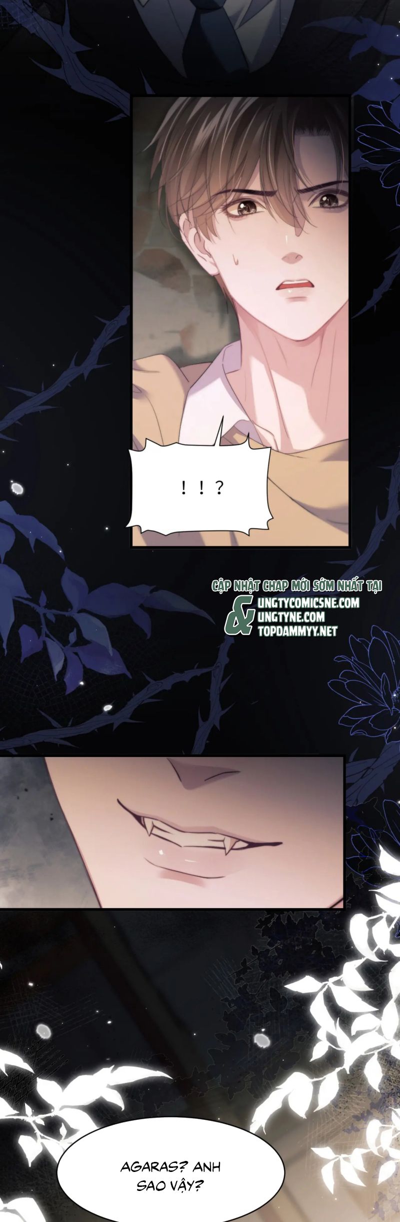 Desharow Nhân Ngư Chap 99 - Trang 4