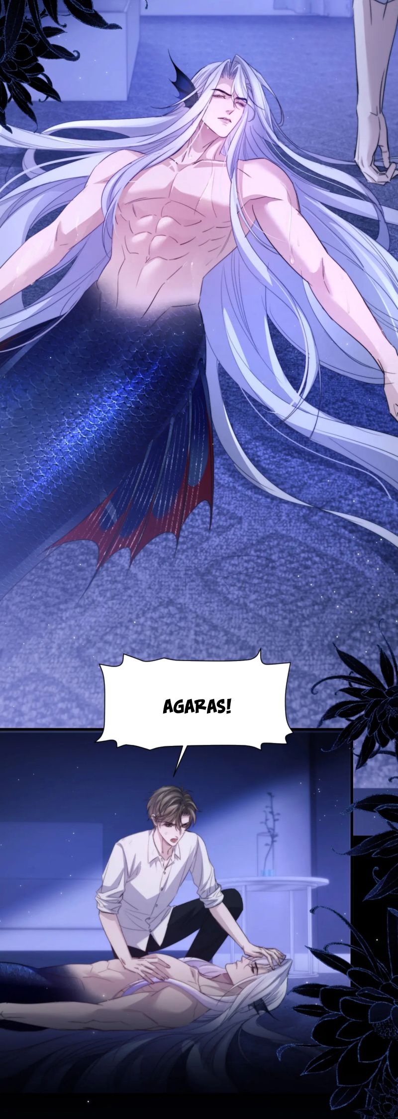 Desharow Nhân Ngư Chap 101 - Trang 4