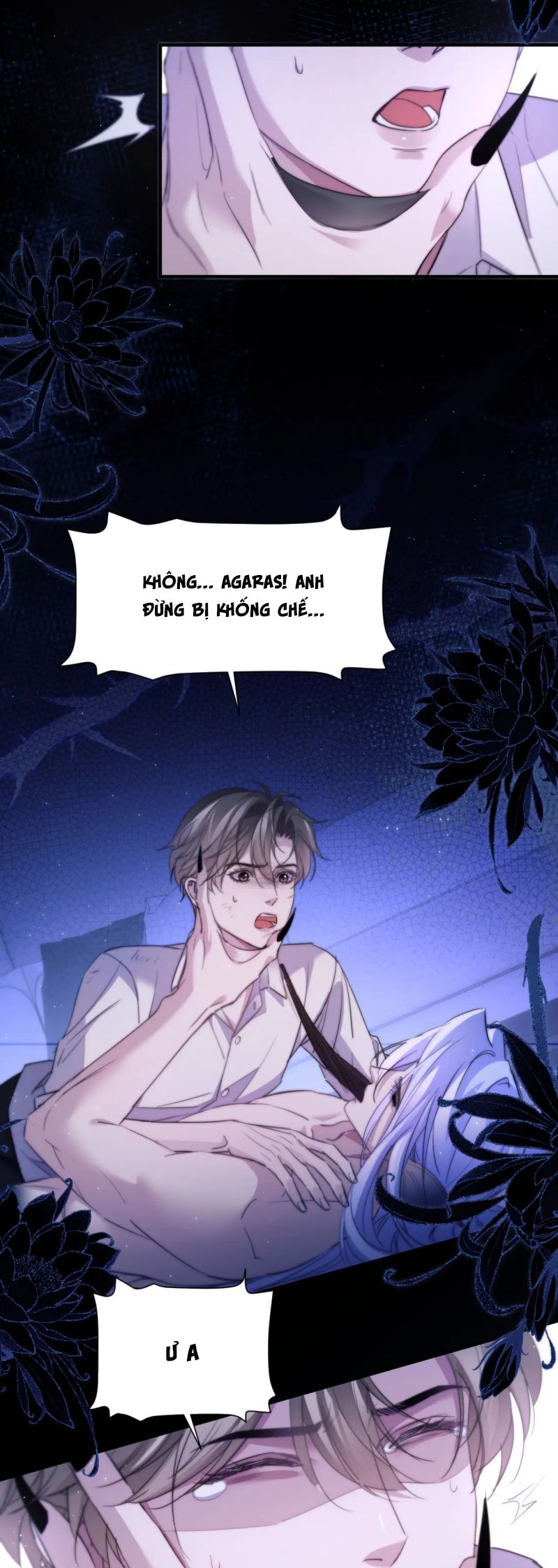 Desharow Nhân Ngư Chap 101 - Trang 4