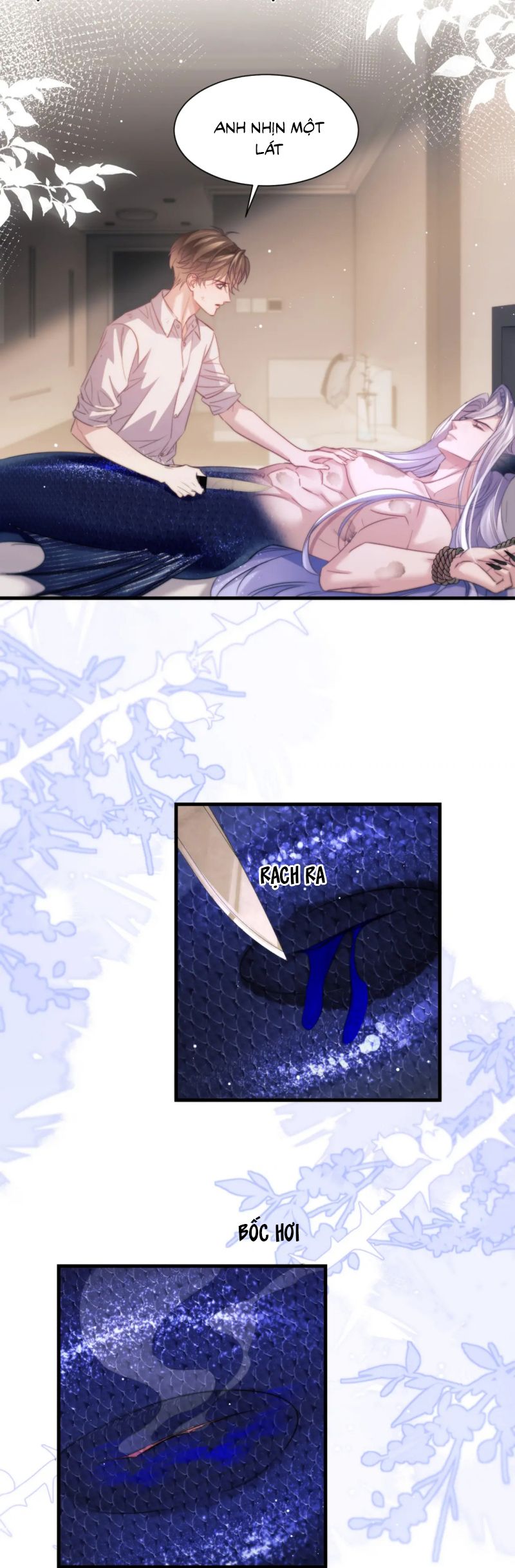 Desharow Nhân Ngư Chap 102 - Trang 4