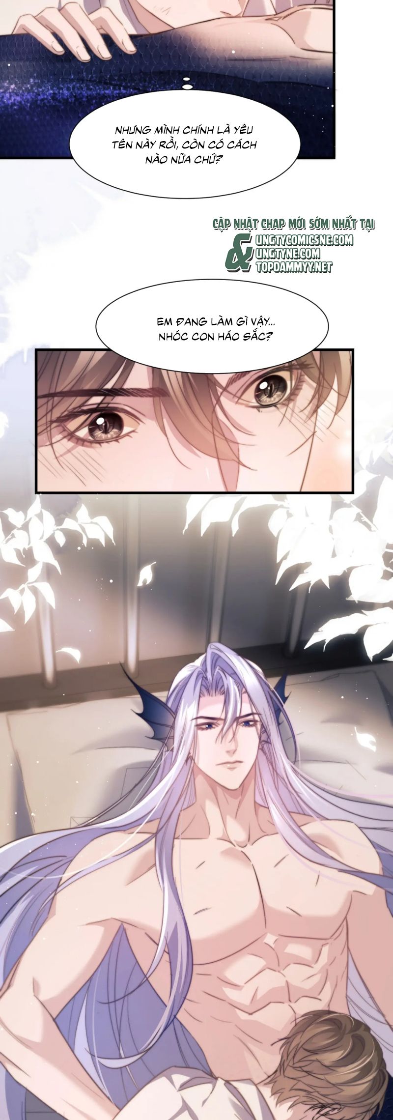 Desharow Nhân Ngư Chap 102 - Trang 4