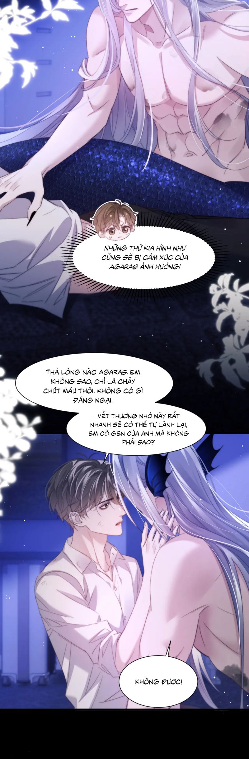 Desharow Nhân Ngư Chap 102 - Trang 4