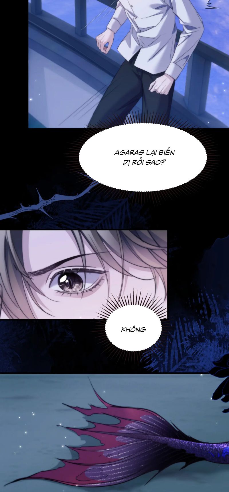 Desharow Nhân Ngư Chap 104 - Trang 4