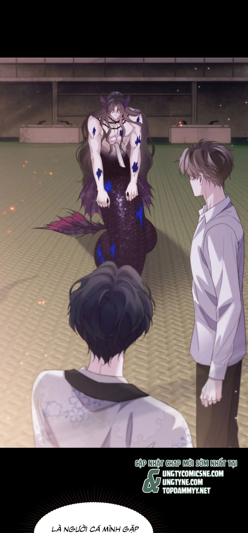 Desharow Nhân Ngư Chap 104 - Trang 4