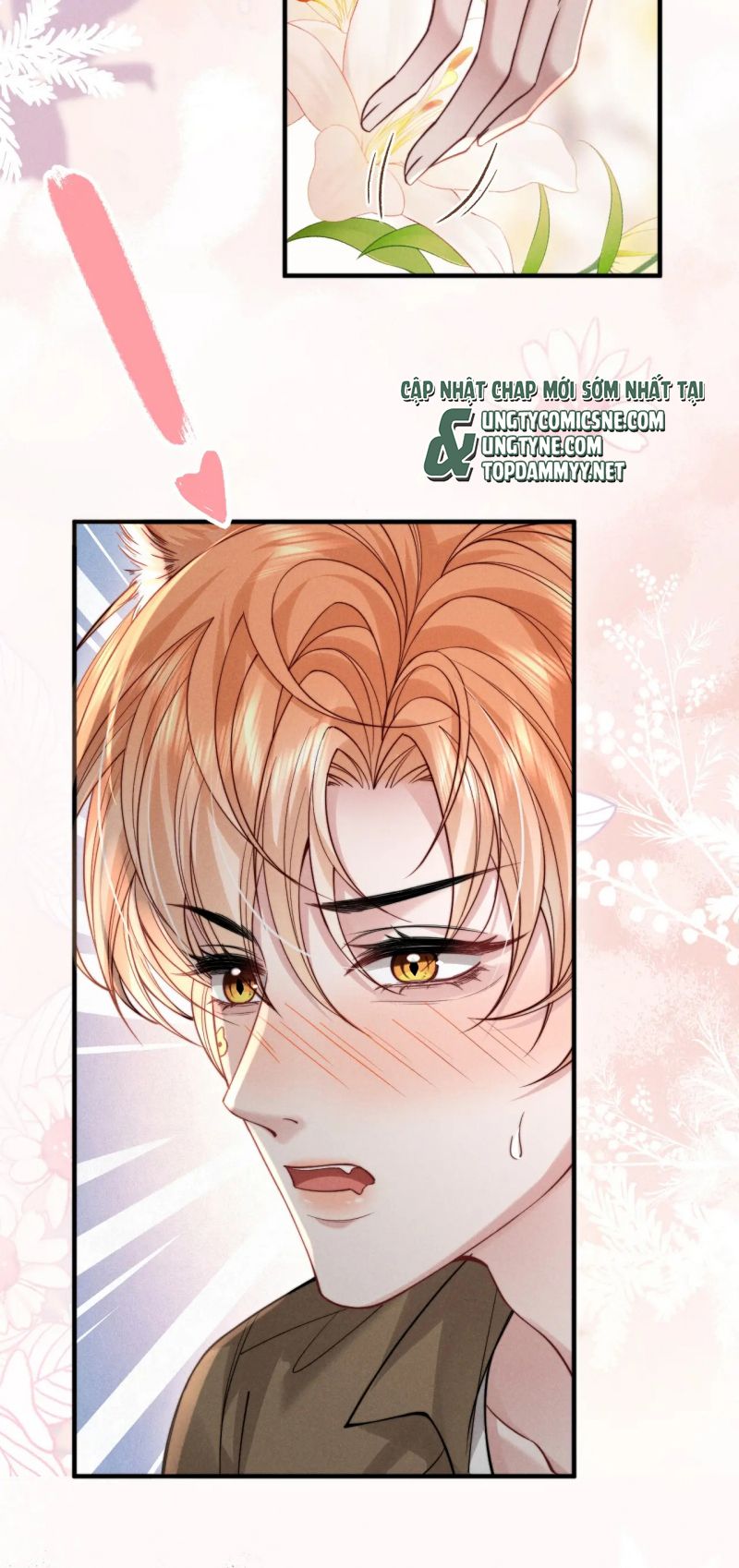Tật Xấu Nuông Chiều Chap 48 - Next Chap 49
