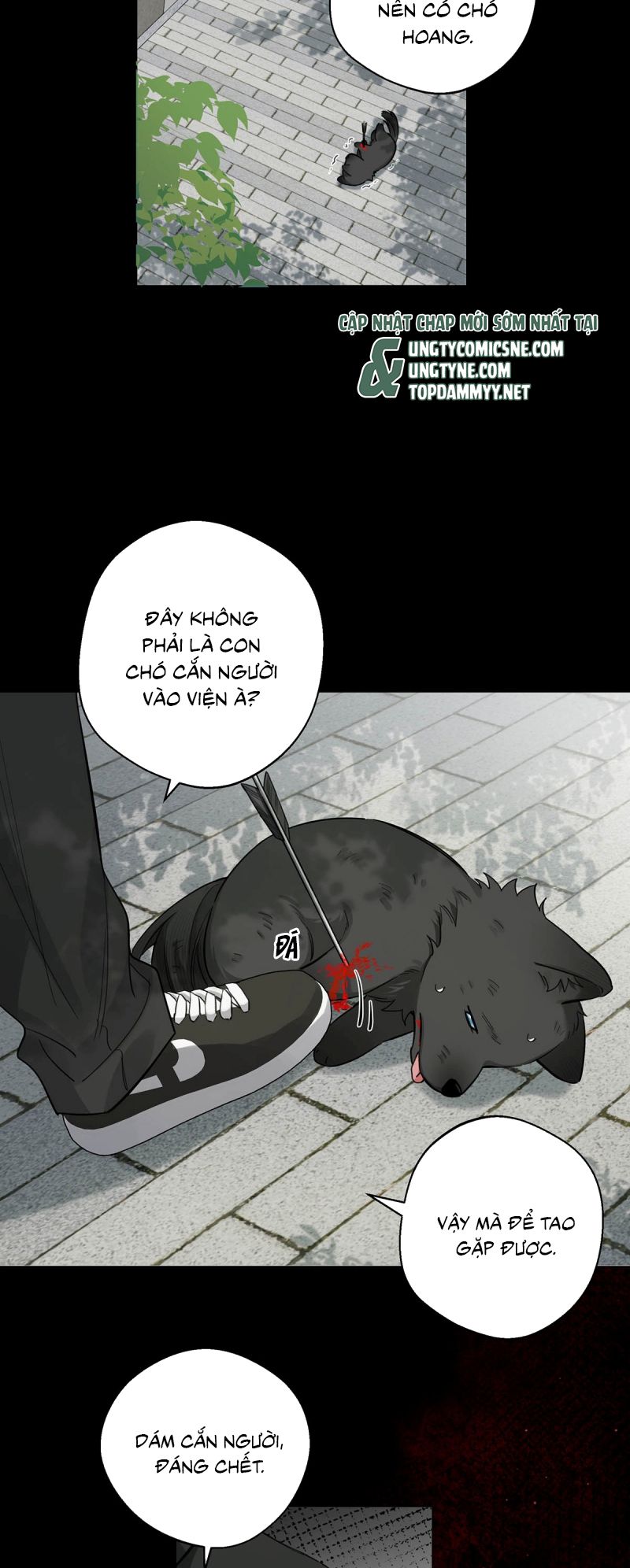 Lang Quân Muốn Chịu Trách Nhiệm Với Tôi Chap 15 - Trang 3