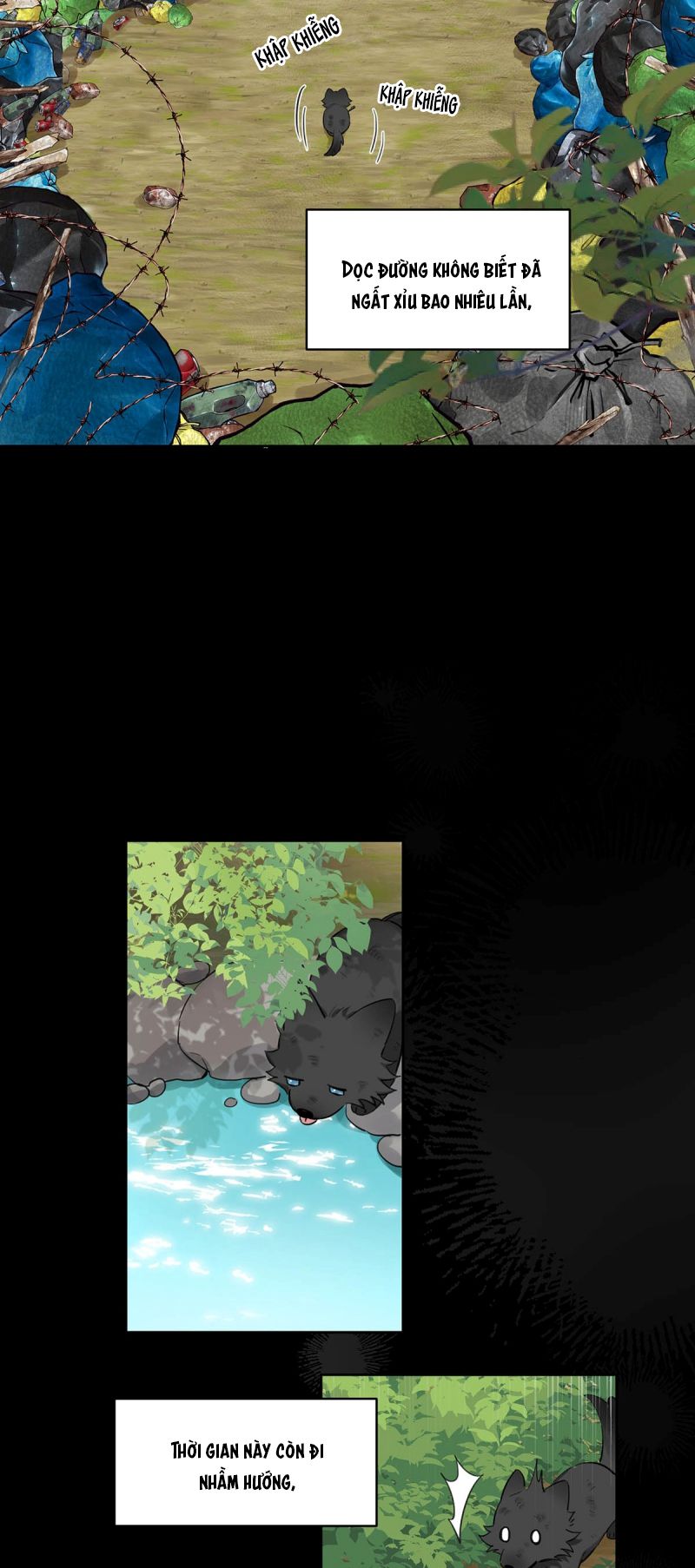 Lang Quân Muốn Chịu Trách Nhiệm Với Tôi Chap 15 - Trang 3