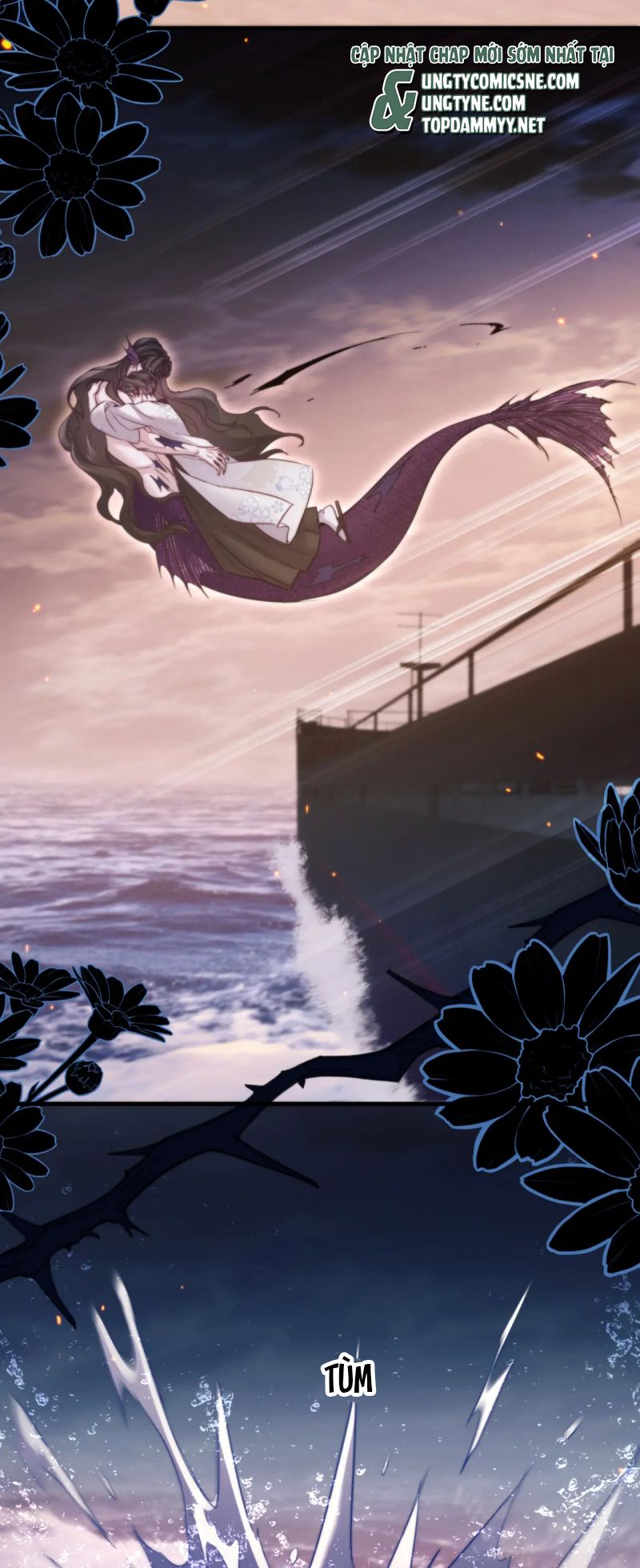 Desharow Nhân Ngư Chap 105 - Trang 4