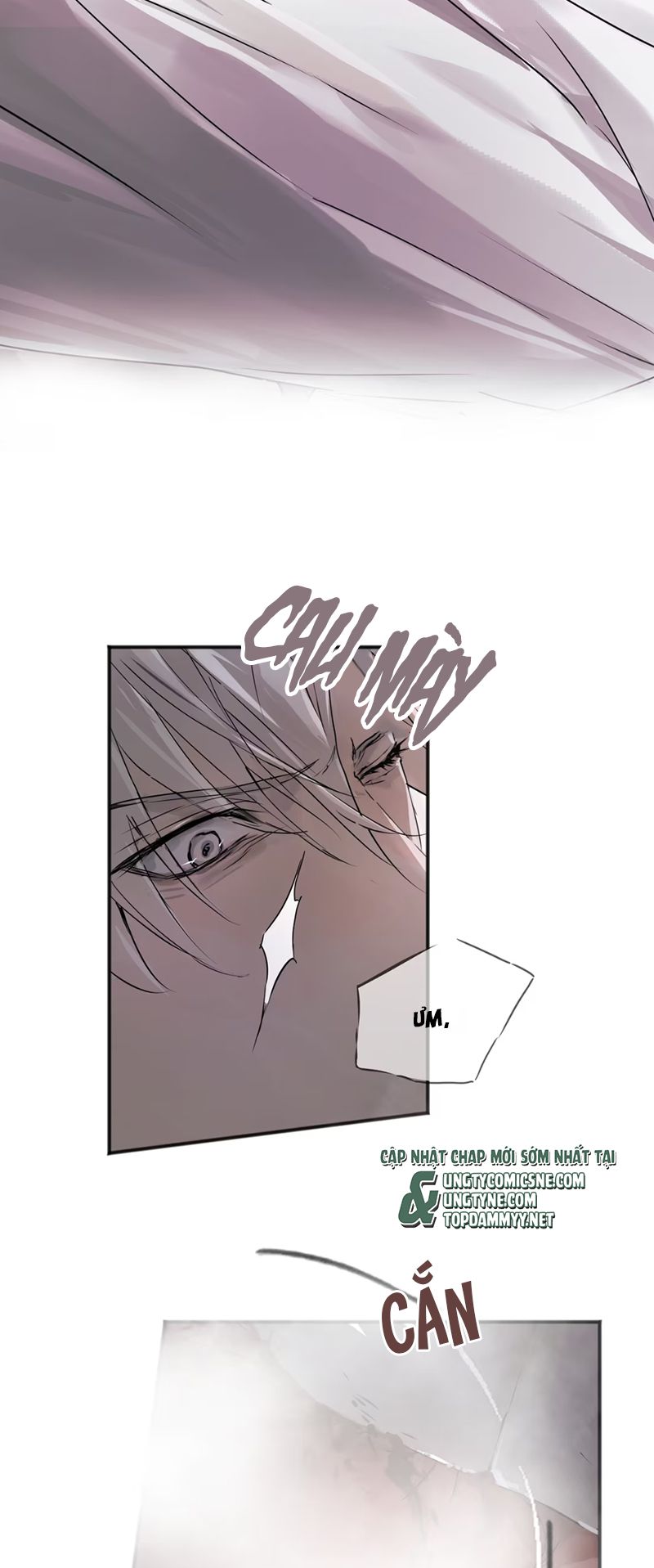 Bị Chó Điên Phát Hiện Tôi Là Đồng Loại Chap 3 - Trang 3