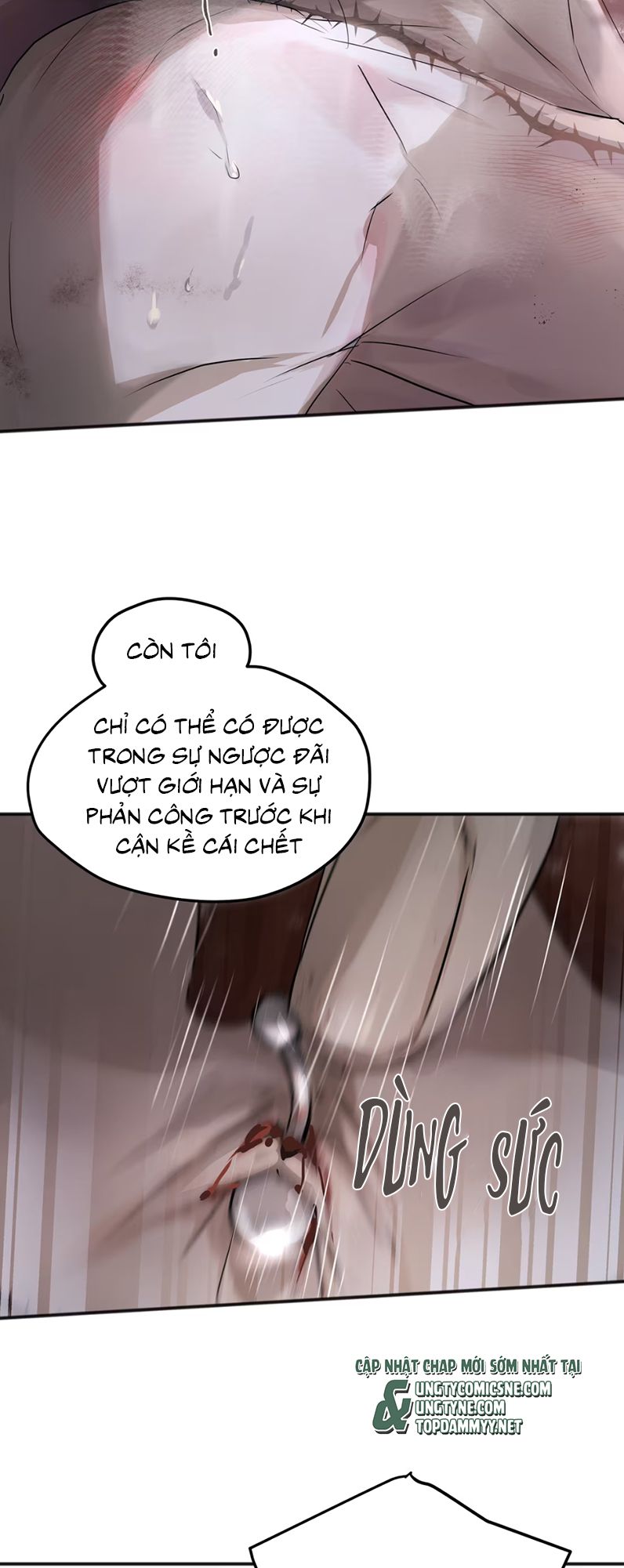 Bị Chó Điên Phát Hiện Tôi Là Đồng Loại Chap 4 - Trang 3