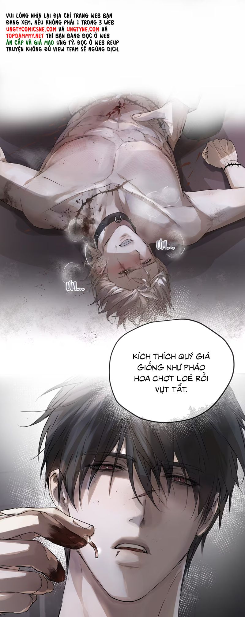 Bị Chó Điên Phát Hiện Tôi Là Đồng Loại Chap 4 - Trang 3