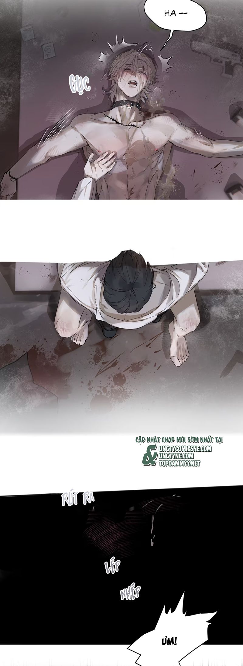 Bị Chó Điên Phát Hiện Tôi Là Đồng Loại Chap 4 - Trang 3