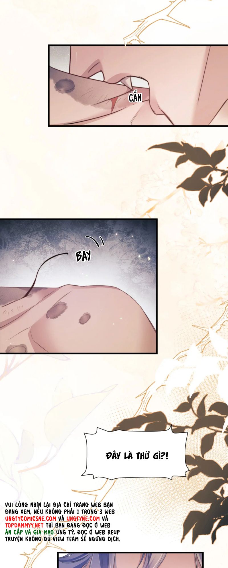 Desharow Nhân Ngư Chap 106 - Trang 4