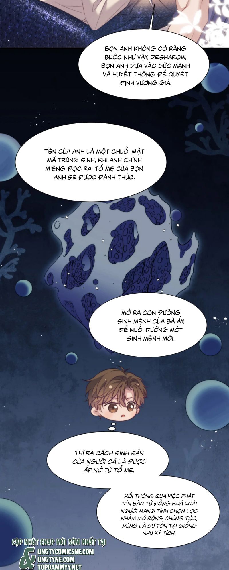 Desharow Nhân Ngư Chap 106 - Trang 4
