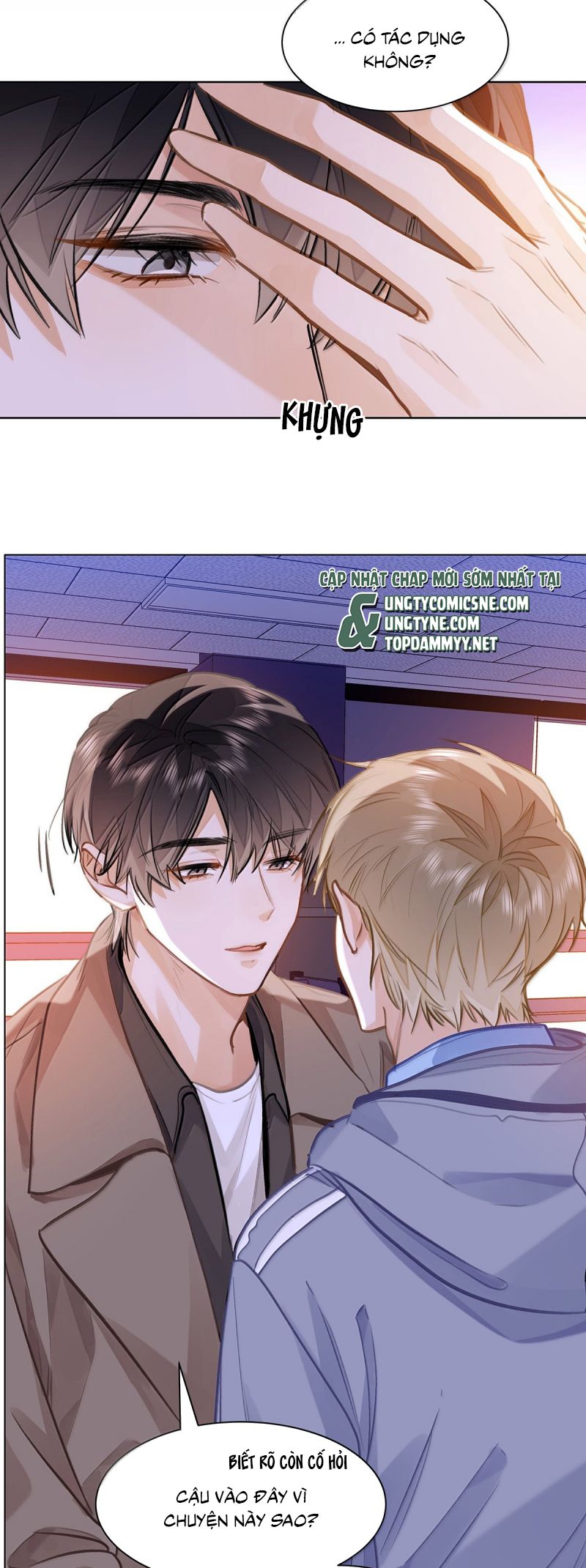 Tôi Thích Tin Tức Tố Của Cậu Chap 83 - Next Chap 84