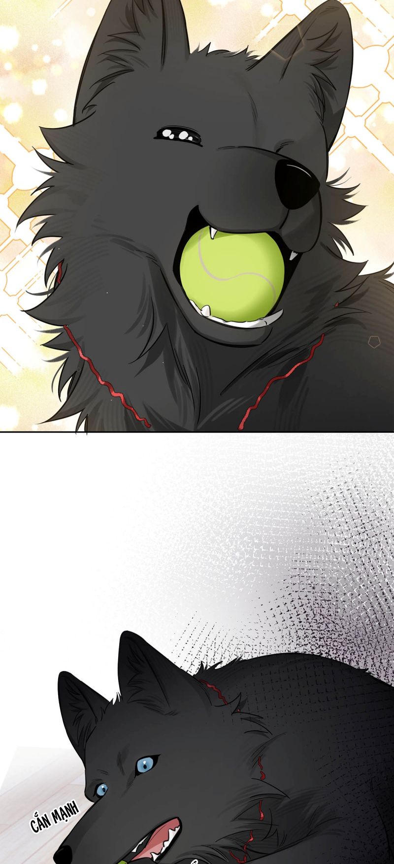 Lang Quân Muốn Chịu Trách Nhiệm Với Tôi Chap 18 - Trang 3