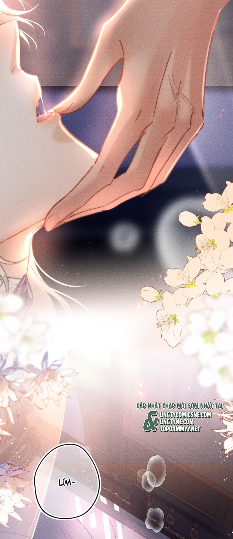 Chỉ Dẫn Săn Mồi Chap 2 - Trang 3