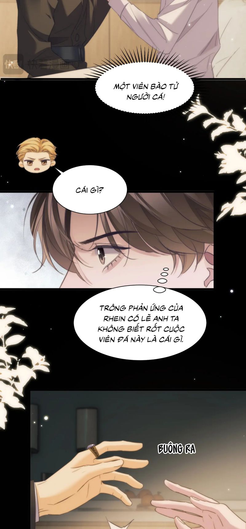 Desharow Nhân Ngư Chap 109 - Trang 4