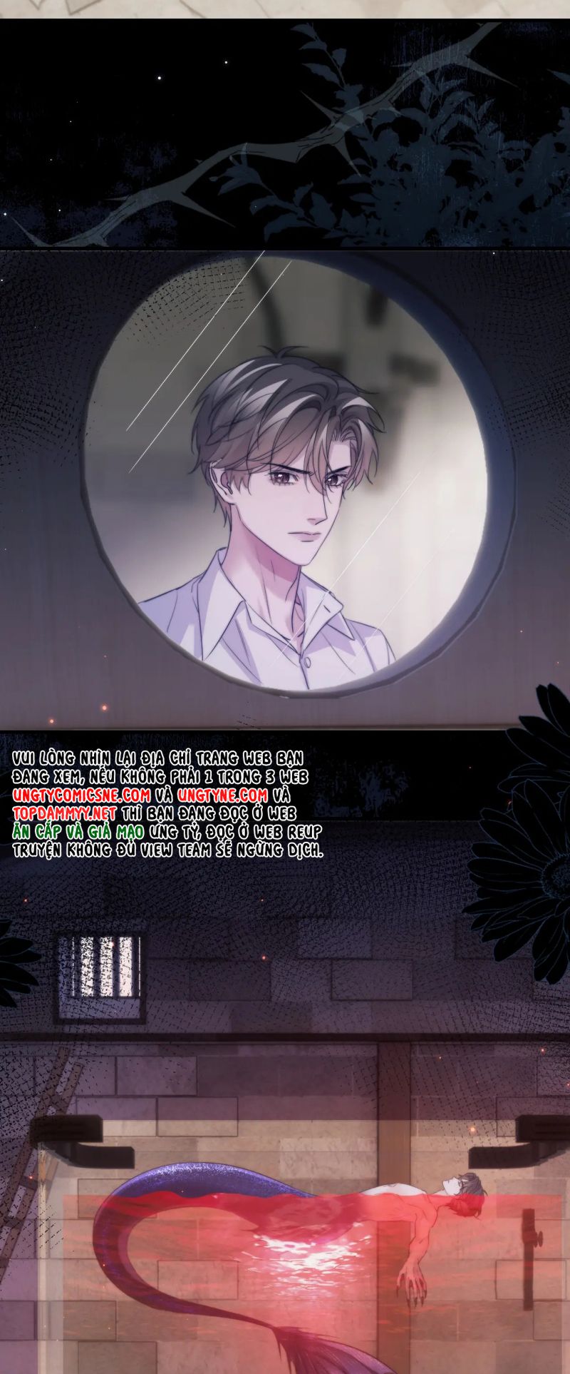 Desharow Nhân Ngư Chap 110 - Trang 4