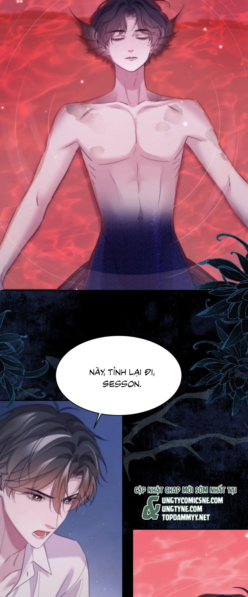 Desharow Nhân Ngư Chap 110 - Trang 4