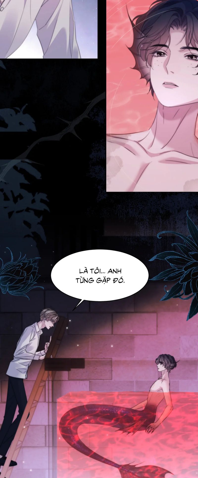 Desharow Nhân Ngư Chap 110 - Trang 4