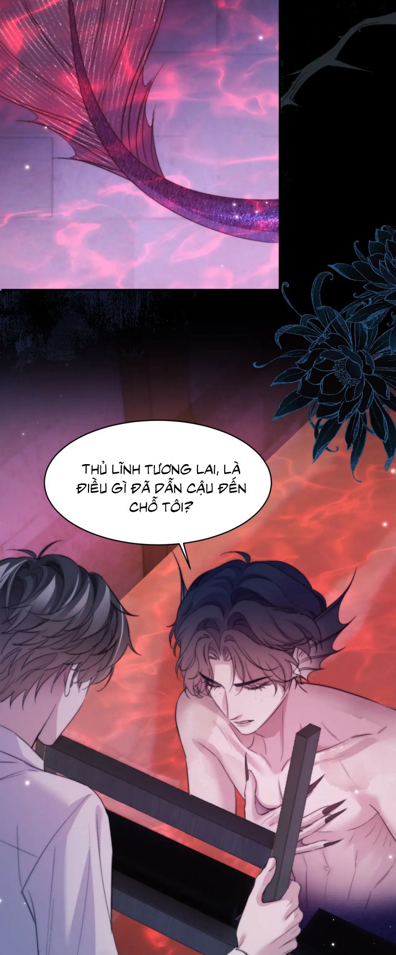 Desharow Nhân Ngư Chap 110 - Trang 4