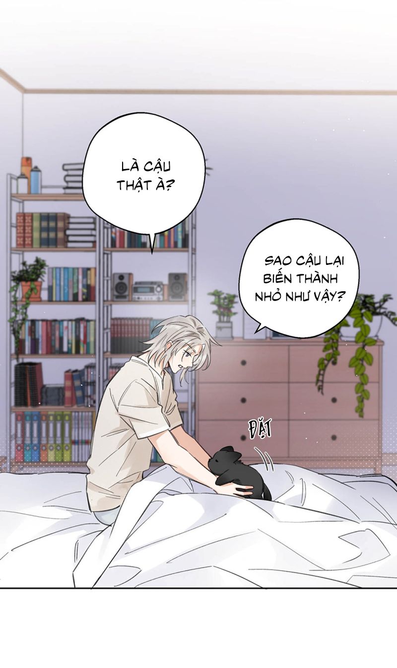 Lang Quân Muốn Chịu Trách Nhiệm Với Tôi Chap 21 - Trang 3