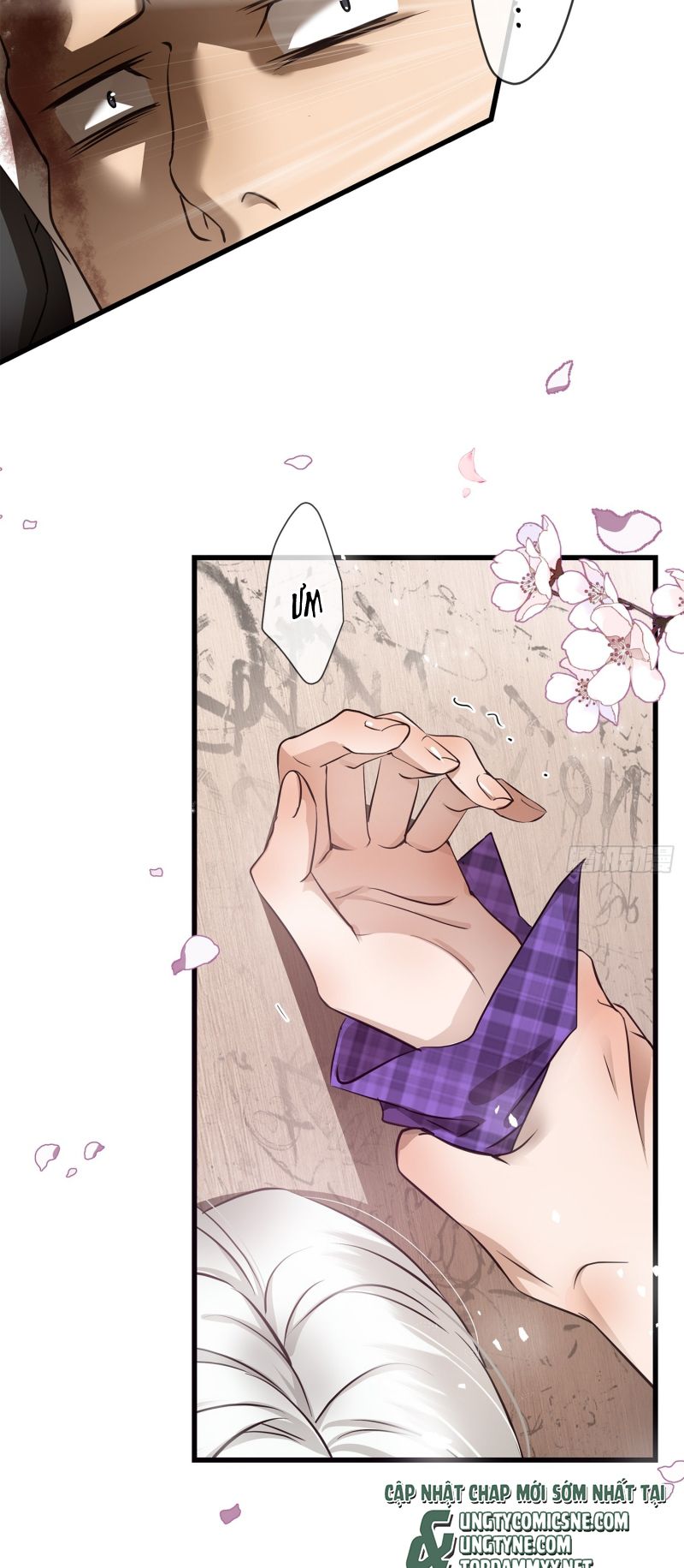 Gặp Tuyết Giữa Hạ Chap 2 - Trang 2