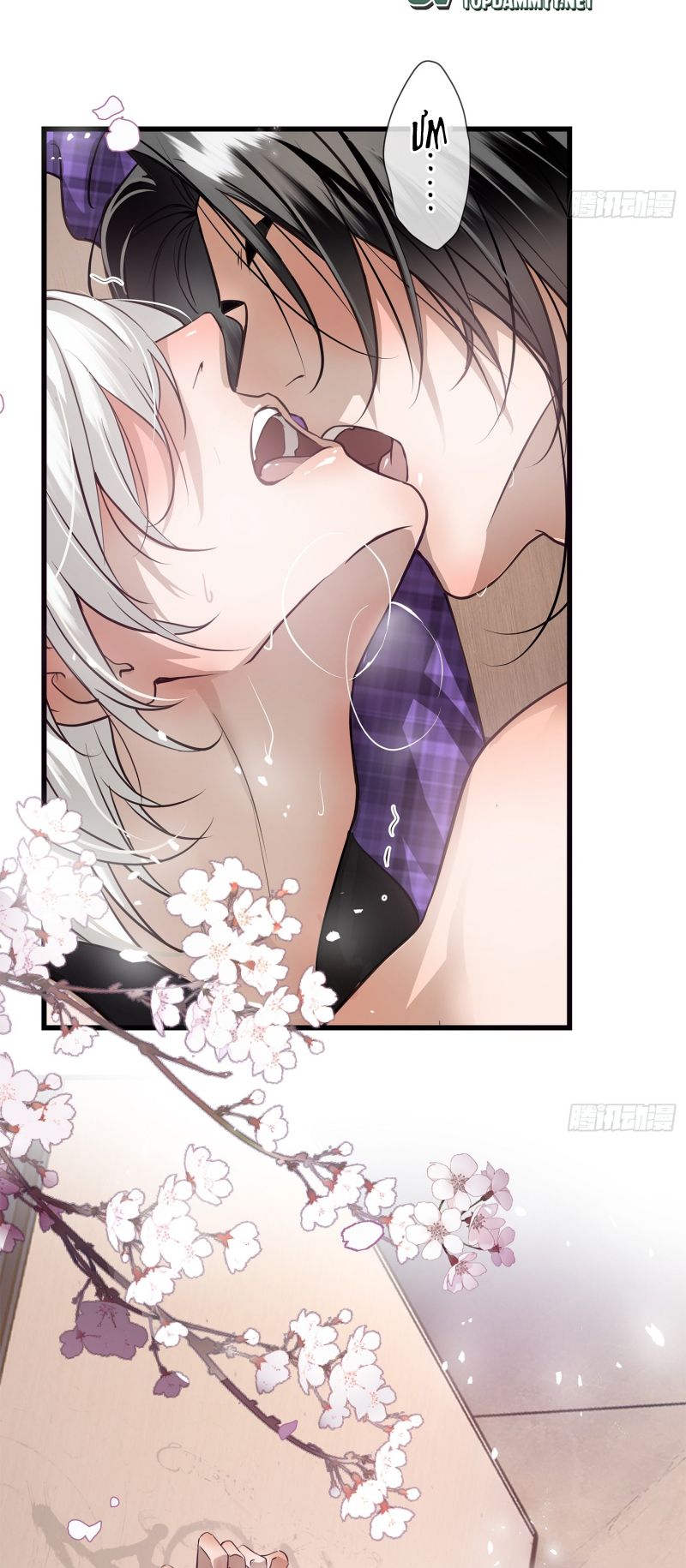 Gặp Tuyết Giữa Hạ Chap 2 - Trang 2