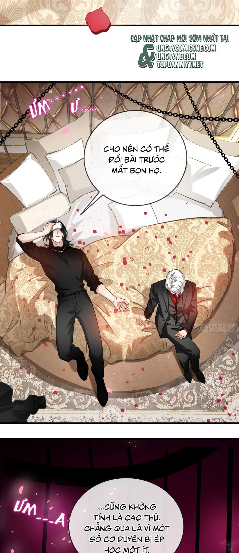 Gặp Tuyết Giữa Hạ Chap 6 - Trang 2