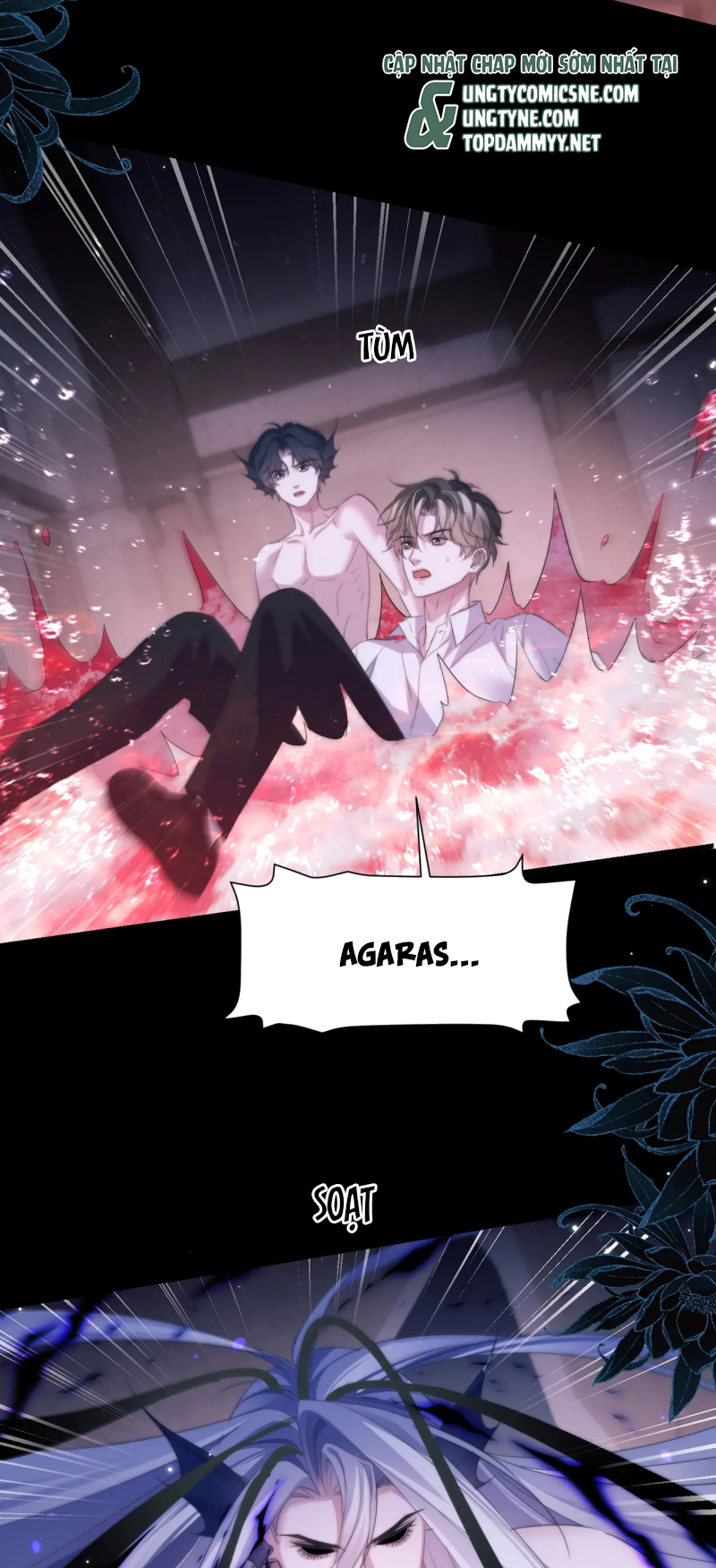 Desharow Nhân Ngư Chap 111 - Trang 4