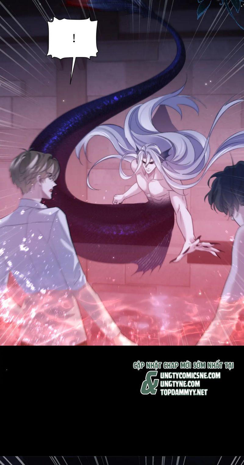 Desharow Nhân Ngư Chap 111 - Trang 4