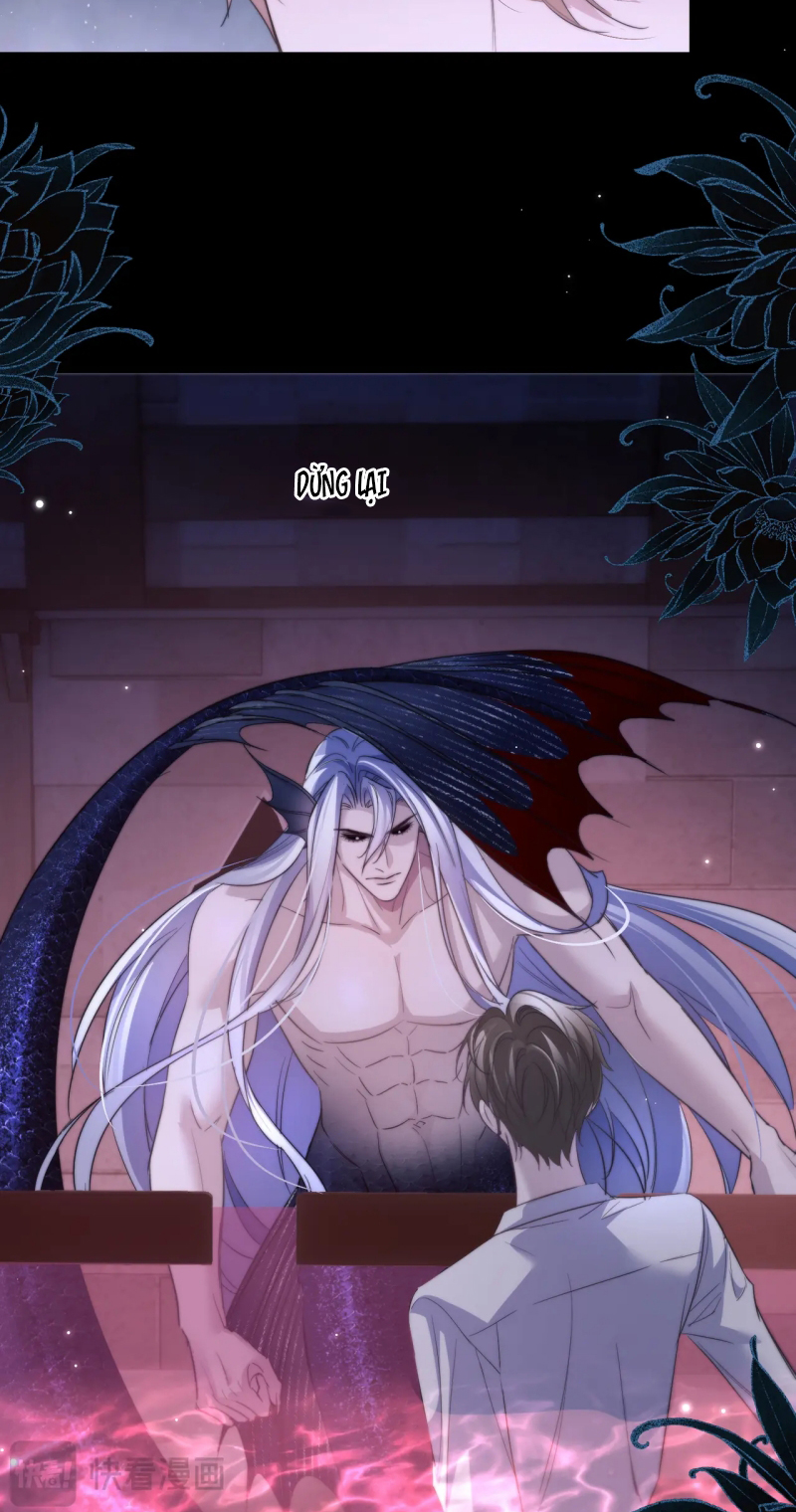 Desharow Nhân Ngư Chap 111 - Trang 4