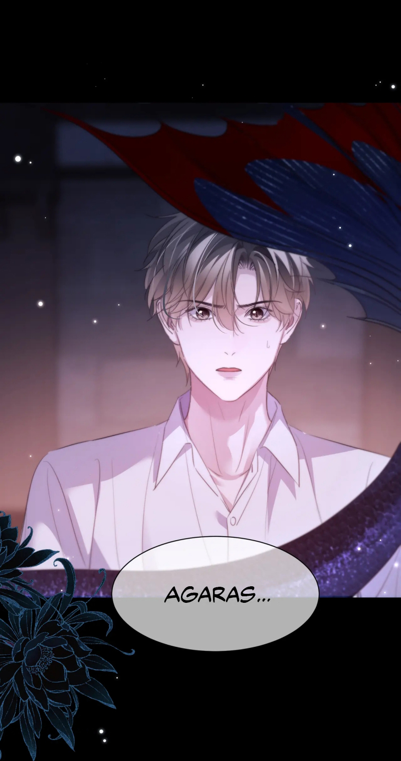 Desharow Nhân Ngư Chap 111 - Trang 4