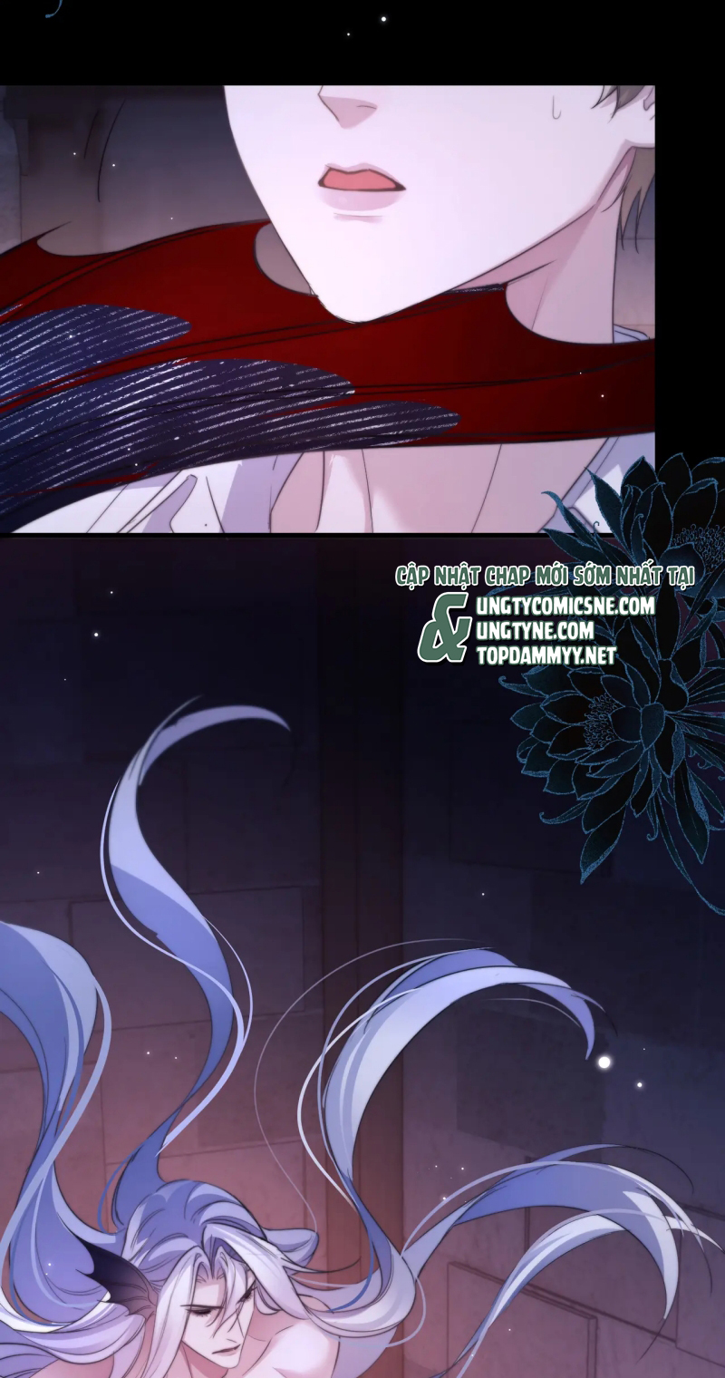 Desharow Nhân Ngư Chap 111 - Trang 4