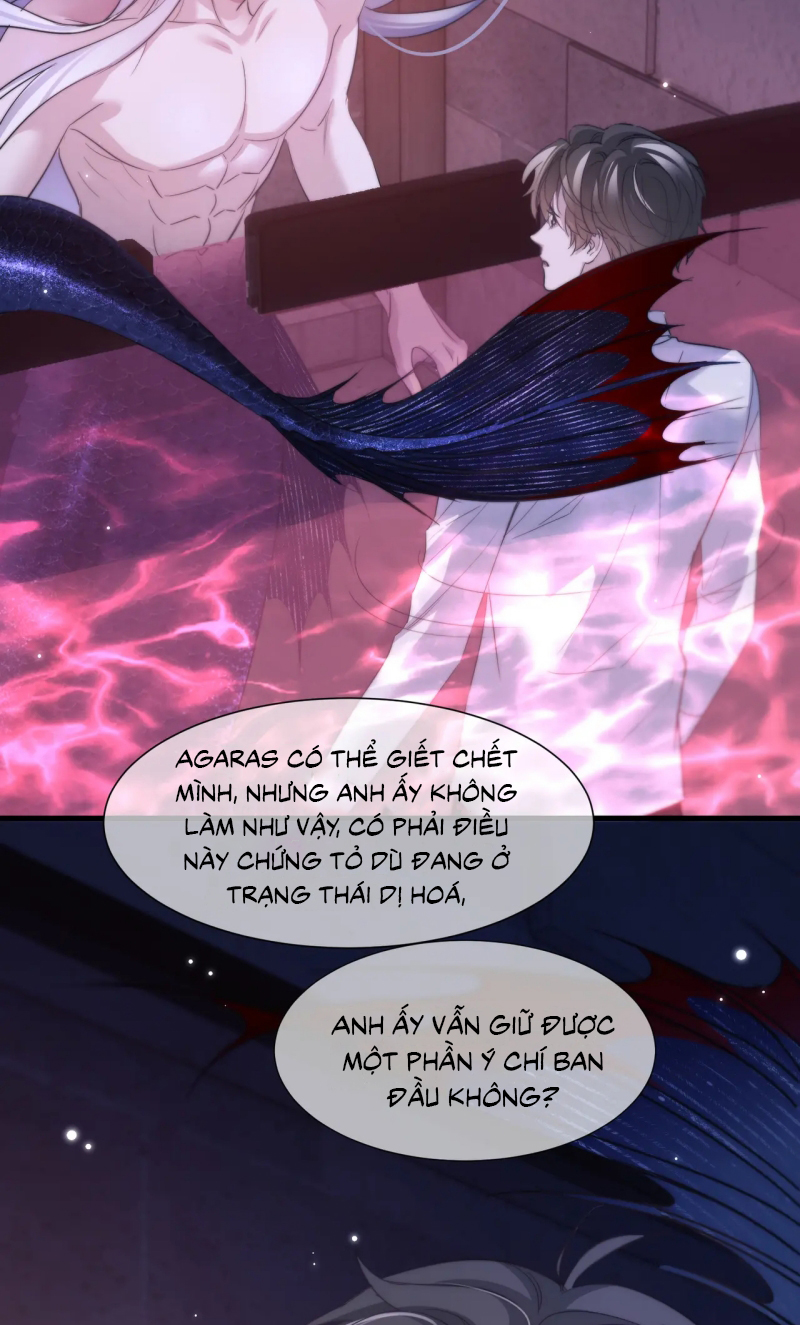 Desharow Nhân Ngư Chap 111 - Trang 4