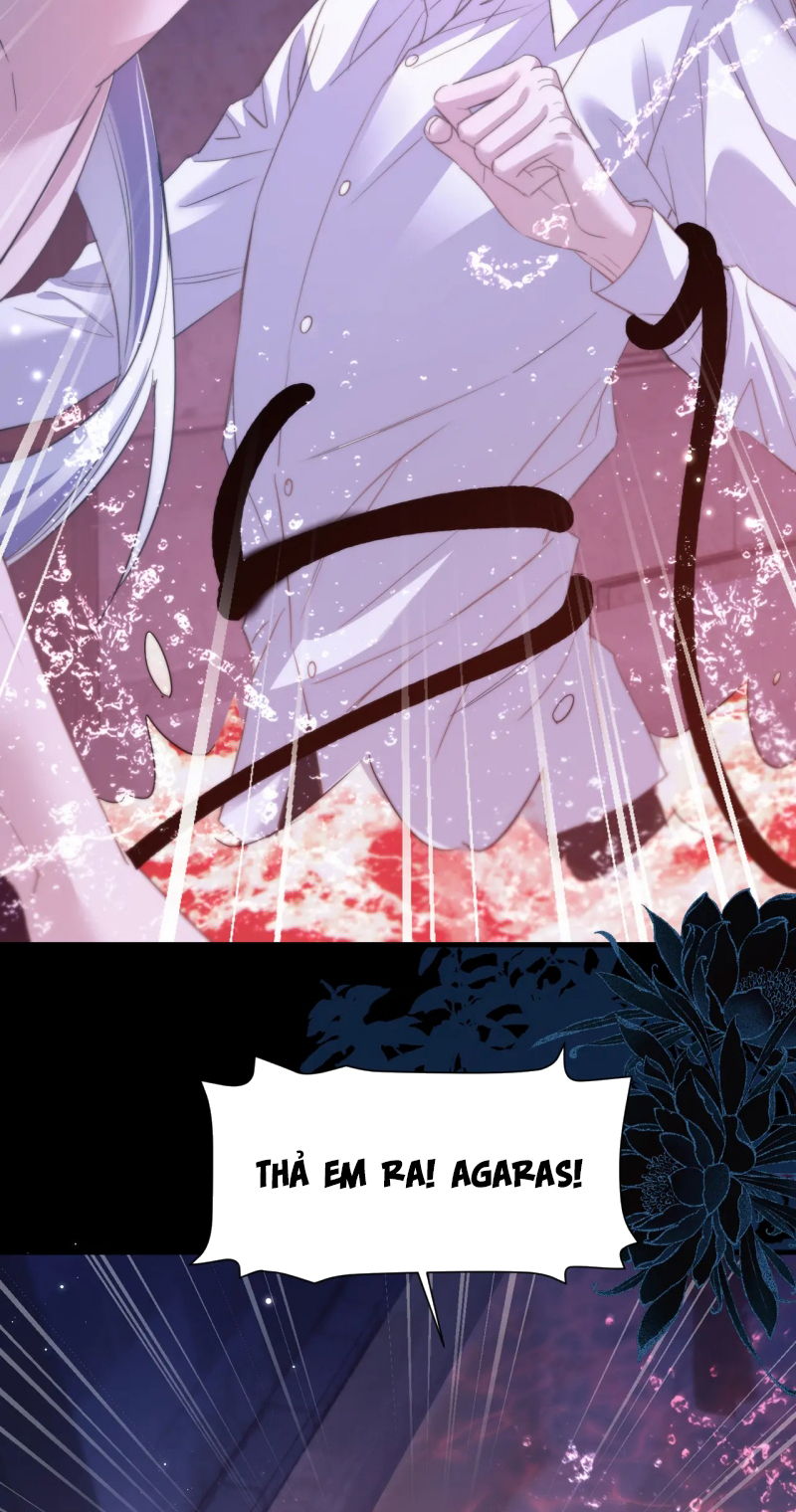 Desharow Nhân Ngư Chap 111 - Trang 4