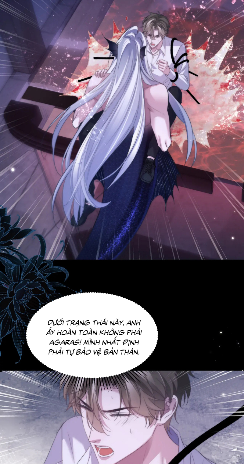 Desharow Nhân Ngư Chap 111 - Trang 4