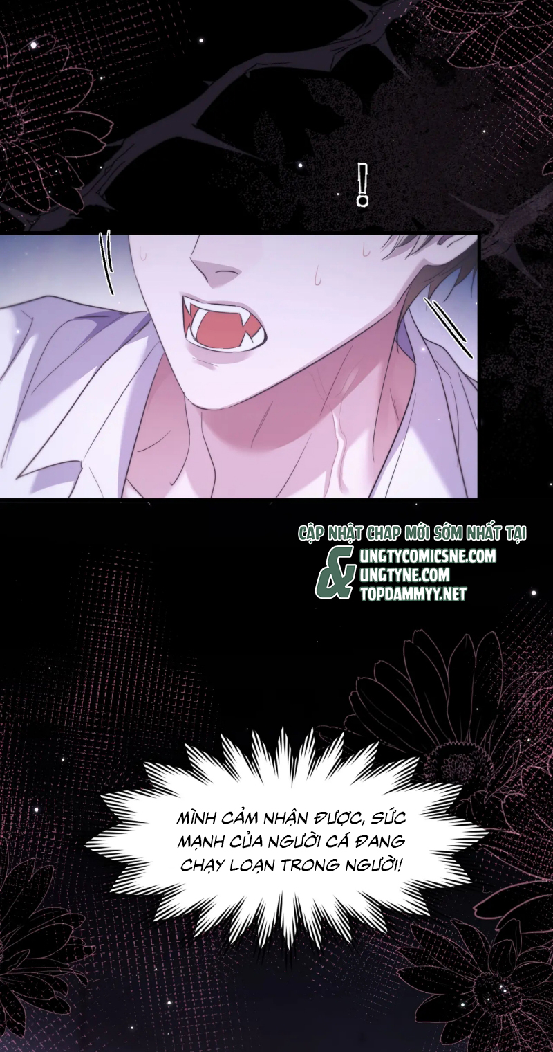 Desharow Nhân Ngư Chap 111 - Trang 4