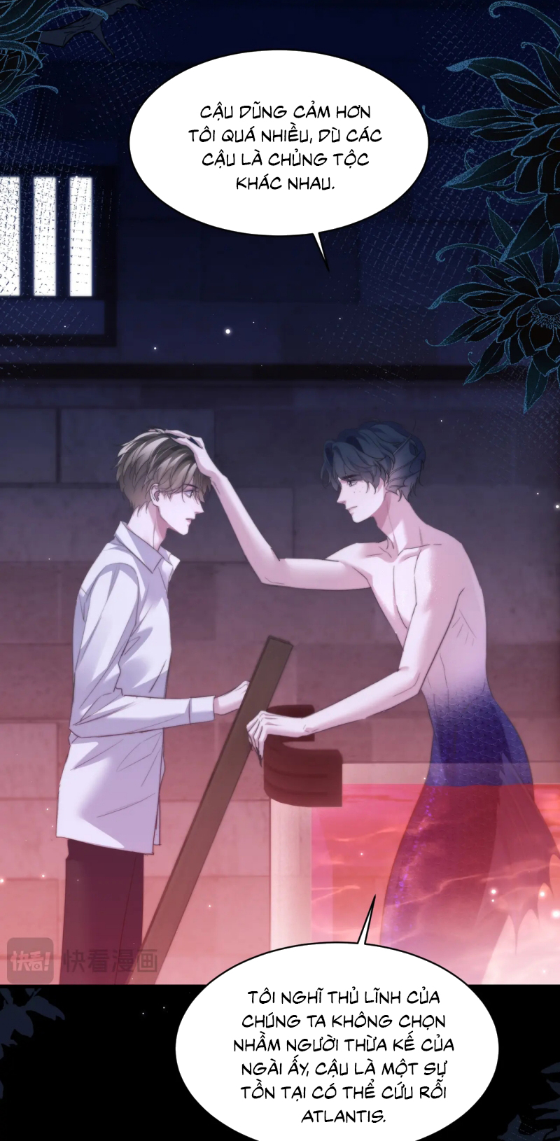 Desharow Nhân Ngư Chap 111 - Trang 4