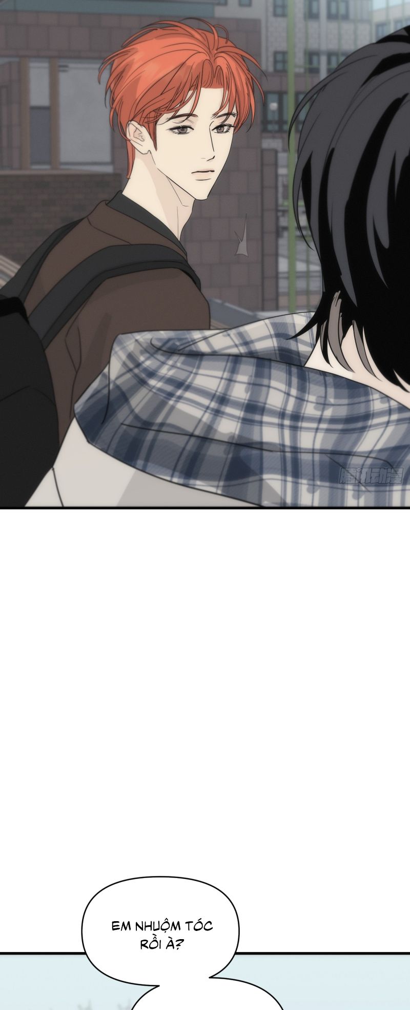 Mồi Nhử Chap 2 - Next Chapter 3