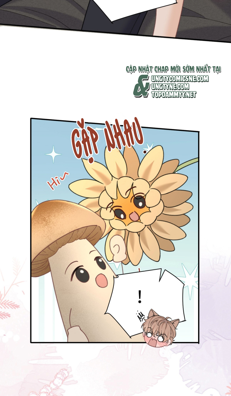 Dáng Vẻ Mà Cậu Thích Tôi Đều Có Chap 31 - Trang 2