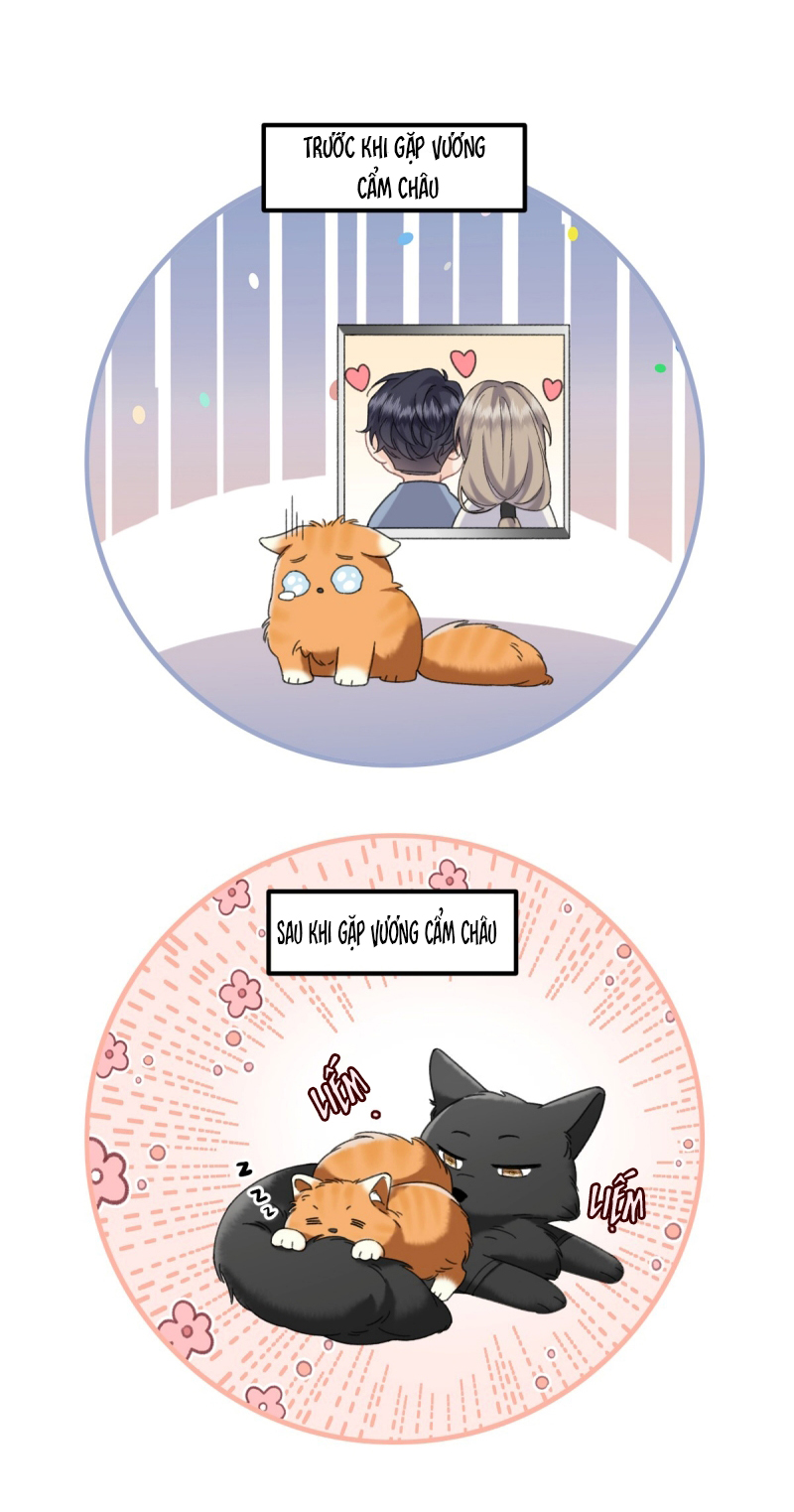 Dáng Vẻ Mà Cậu Thích Tôi Đều Có Chap 31 - Trang 2